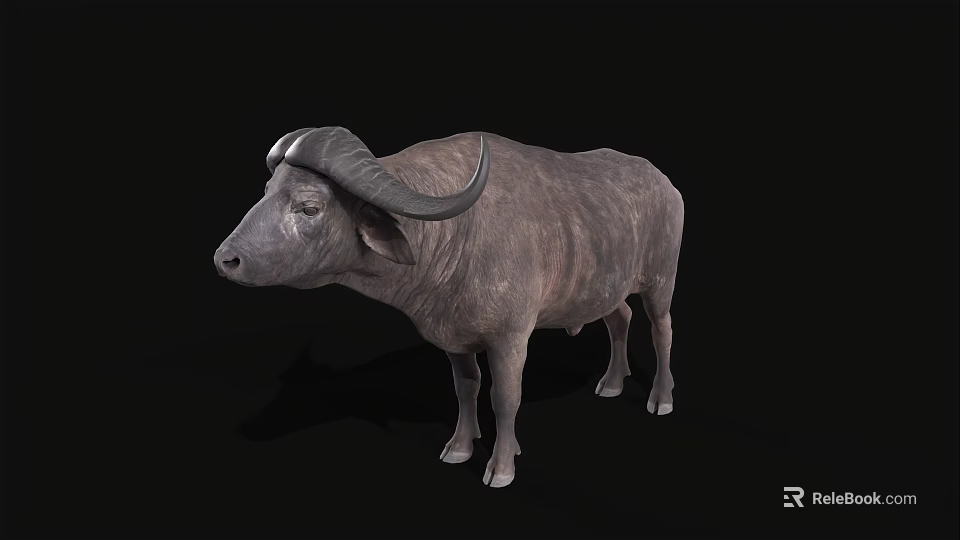 Realistic 3D Buffalo Model Featuring Detailed Horns On Black Background 3d model 