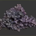 Natural Wood Stone Material With Purple Blue Glossy Crystal Structure Design