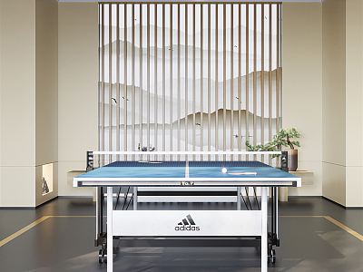 Modern table tennis room 3d model