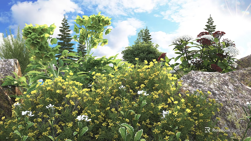 Bushes With Yellow Flowers And Lush Green Leaves Under Blue Sky With White Clouds 3d model 