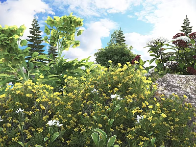 Bushes With Yellow Flowers And Lush Green Leaves Under Blue Sky With White Clouds 3d model