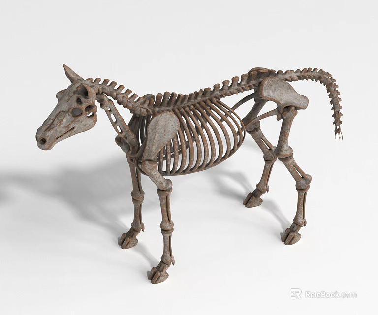 Realistic Horse Skeleton Model With Detailed Bone Structure And Lifelike Pose 3d model 