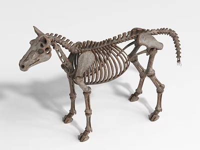 Realistic Horse Skeleton Model With Detailed Bone Structure And Lifelike Pose 3d model