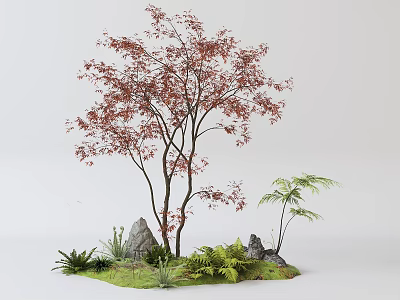 Red Leaf Deciduous Arbor With Surrounding Ferns Rocks And Small Green Plants 3d model