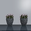 Two Gray Textured Potted Plants with Pink Flowers on Smooth Blue Tabletop against Light Wall
