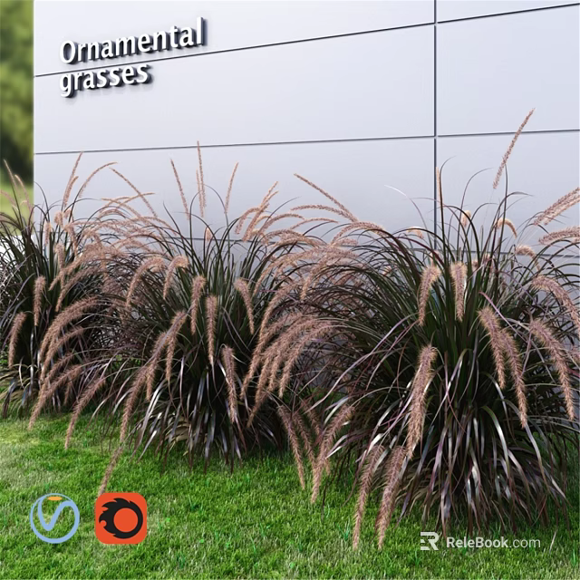 Ornamental Grass Decorative Set With Gray Wall And Green Lawn Background 3d model 