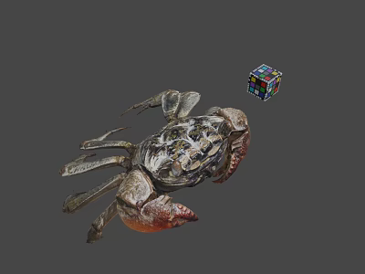 Realistic Crab Figure With Colorful Rubiks Cube On Gray Background 3d model