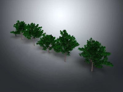 Green Trees with Slender Trunks and Lush Leaves Arranged in a Row Against Grey Background 3d model