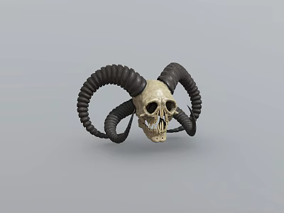 Detailed Animal Skull With Large Curved Black Horns On Gray Background 3d model