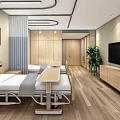 Hospital Outpatient Clinic Featuring Two Beds Mobile Dining Tables Wooden Cabinets TV Plant and Painting