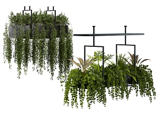 modern hanging basket hanging basket plant 3d model