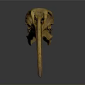 Bird Skull Skeleton With Long Curved Beak And Detailed Bone Structure