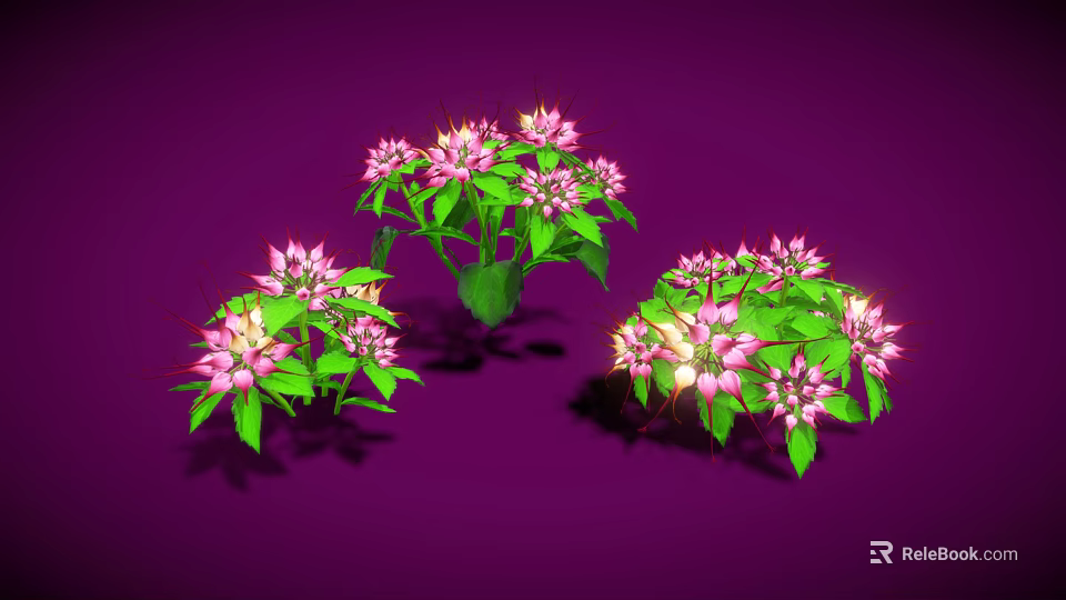 Vibrant Plant Clusters With Pink Flowers And Green Leaves On Purple Background 3d model 