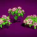 Vibrant Plant Clusters With Pink Flowers And Green Leaves On Purple Background