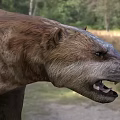 Ancient Reptile Restored Figure In Natural Grassland Woodland Habitat With Open Mouth