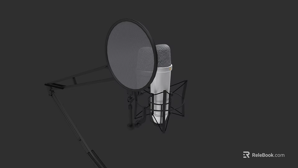 Professional Musical Instruments and Art Supplies with Microphone Pop Filter Stand and Shock Mount 3d model 