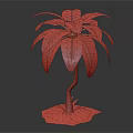 Palm Plant With Green And Yellow Leaves And Brown Trunk On Dark Background