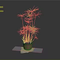 Green Leafy Potted Plant In Brown Pot On White Platform With Gray Background