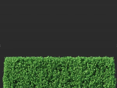 Well Maintained Green Hedge with Lush Foliage and Neat Shape in Garden 3d model