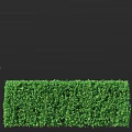 Well Maintained Green Hedge with Lush Foliage and Neat Shape in Garden