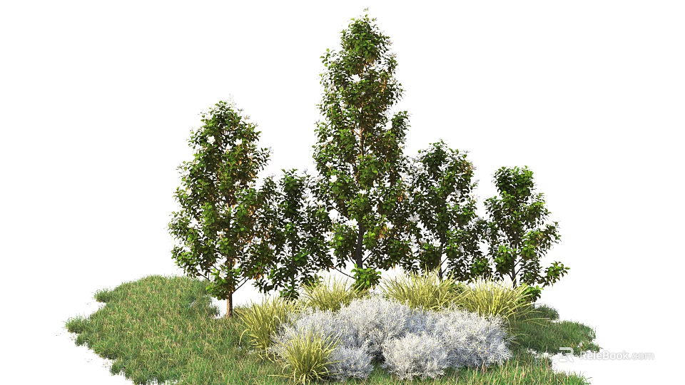 Tall Arbor Trees Growing With Green Grass And Surrounding Plants In Natural Landscape 3d model 