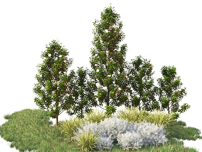 Tall Arbor Trees Growing With Green Grass And Surrounding Plants In Natural Landscape 3d model