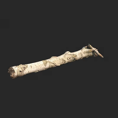tree trunk wood dead wood dead tree 3d model