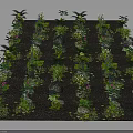 Diverse Potted Plants with Lush Green Foliage Arranged Neatly on Black Substrate