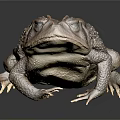 3D Rendered Reptile Toad With Detailed Skin Texture Standing On Black Background With Reflection