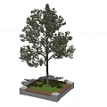 Modern Tree Planter Design with Lush Tree and Green Foliage 3d model