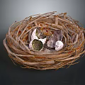 Natural Bird Nest Made Of Twigs With Spotted Eggs Inside Close Up Detail View