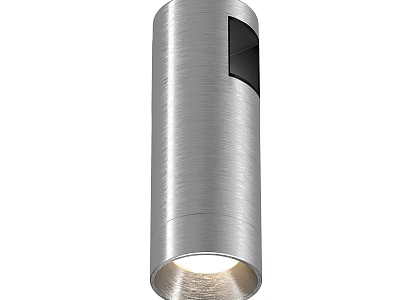 Modern Sleek Cylindrical Downlight Spotlight in Silver Brushed Finish with Black Accent and Warm Illumination 3d model