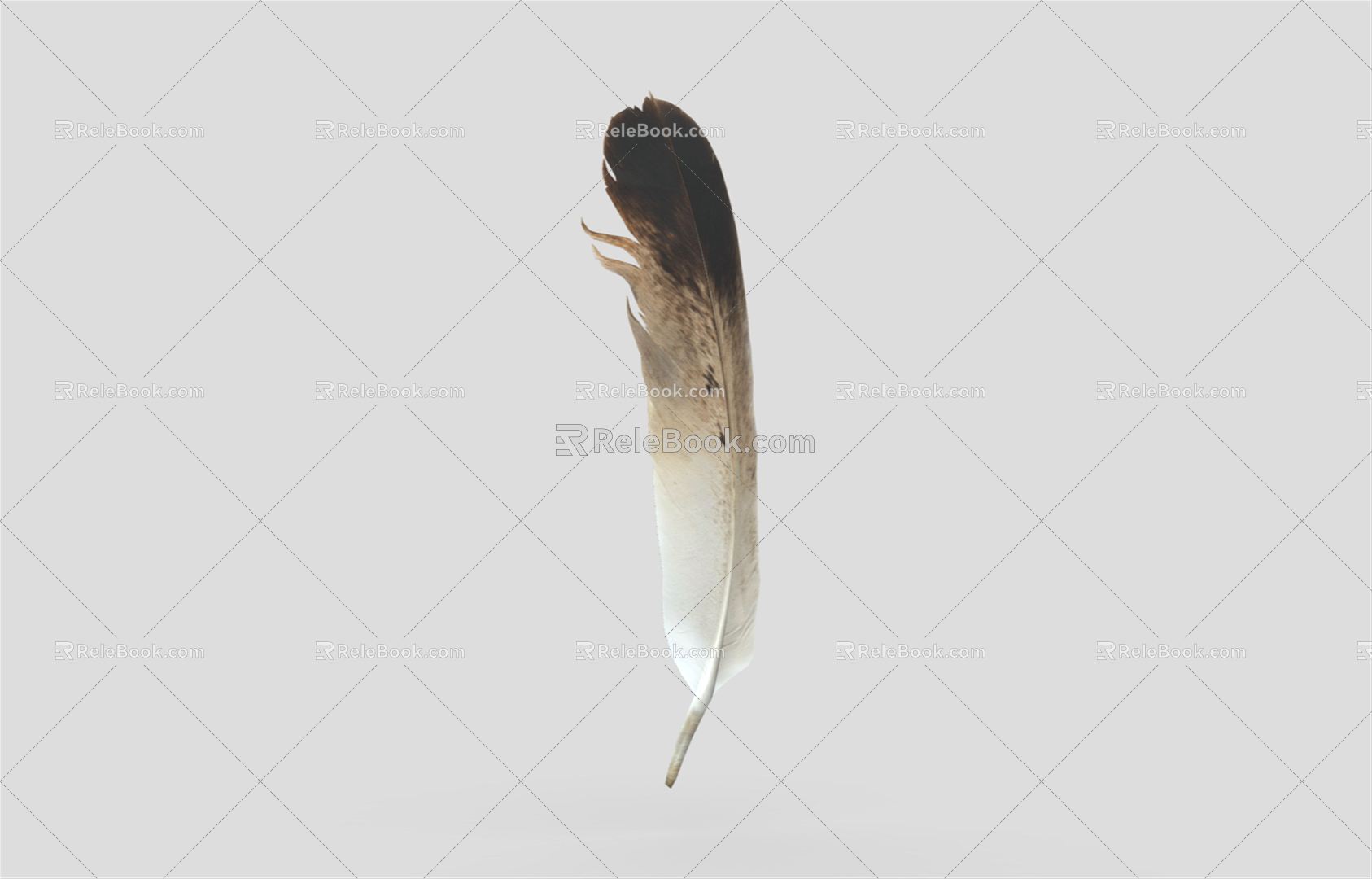 Modern Feather 3d model