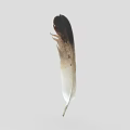 Decorative Ornament Set Featuring Brown And White Gradient Feather On Light Gray Background