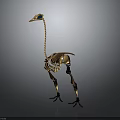 Ostrich Skeleton Model With Metallic Structure Long Neck And Slender Legs On Gray Background