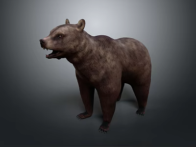 3D Brown Bear Model Standing Posture Realistic Fur Texture And Gray Background 3d model