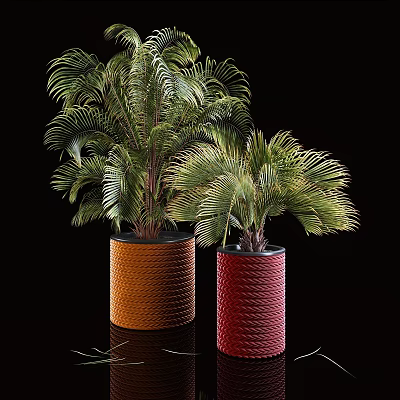 Lush Palm Like Plants in Orange and Red Woven Texture Vases on Black Background 3d model