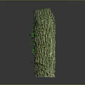 Green Vines Plant Growing On Tree Stump With Natural Bark Texture