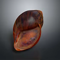 Elegant Natural Shell Decorative Ornament Set With Brown Red Glossy Texture For Home Decor