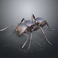Realistic Shiny Metallic Ant 3D Rendered With Detailed Texture On Dark Background
