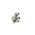 Modern Kitchenware Display With Teapot Oil Bottles Bowls Wooden Tray And Green Plant