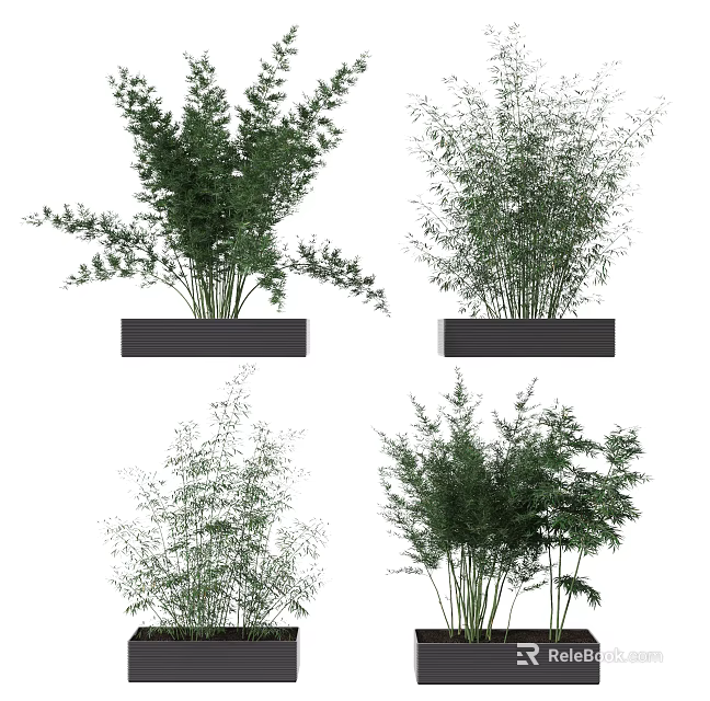 Lush Green Bonsai Potted Plants With Black Rectangular Containers And Diverse Foliage 3d model