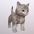 Gray Kitten Toy With Fluffy Fur Big Eyes And Standing Posture