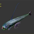 Unique Deep Sea Fish With Long Spike Sharp Teeth And Blue Body
