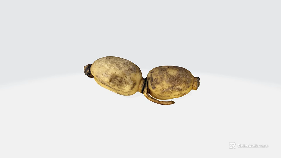 Two Connected Yellow Vegetables with Natural Spots and Joined Shape 3d model 
