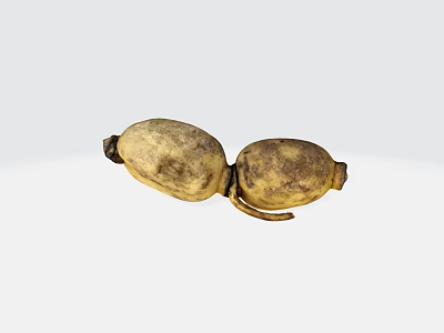 Two Connected Yellow Vegetables with Natural Spots and Joined Shape 3d model