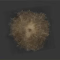 Fluffy Brown Round Textured Decorative Object With Soft Hairy Surface And Gray Gradient Background 3d model