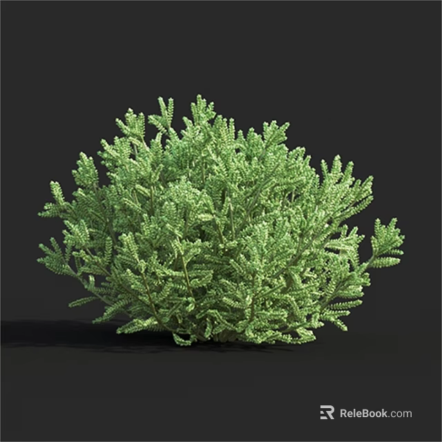 Lush Green Arbor Tree with Dense Foliage and Healthy Branch Structure 3d model