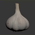 Fresh Single White Garlic Bulb With Smooth Texture On Dark Background As Cooking Ingredient