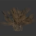 Three Clumps of Dry Grass on White Background with Natural Texture